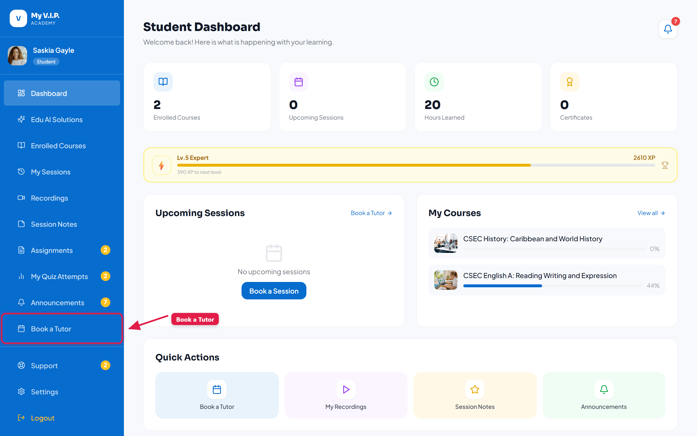 Dashboard Overview